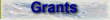 Grants Management Information Link